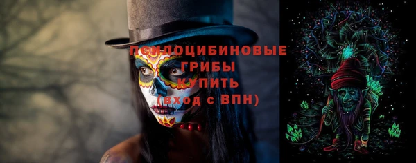 шишки Абинск