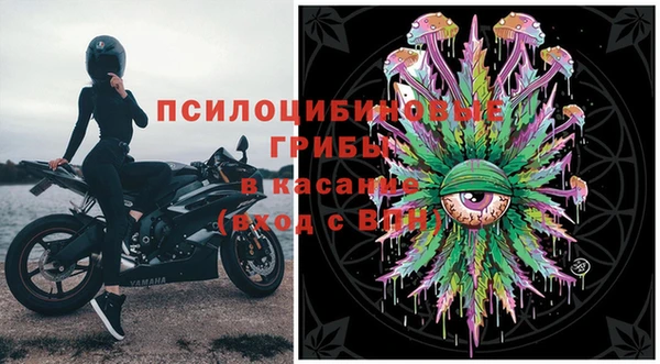 шишки Абинск