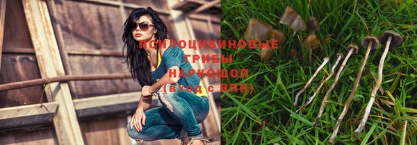 шишки Приозерск