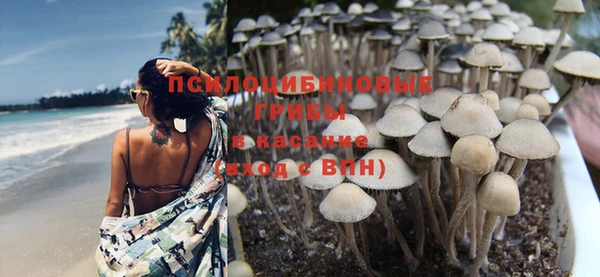мет Абаза