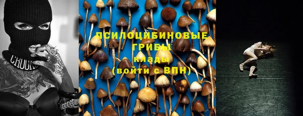 шишки Приозерск