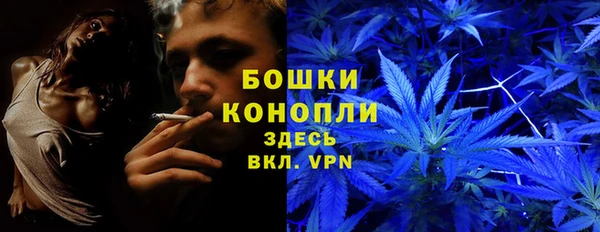 ешки Алзамай