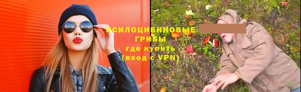 дмт Алексин