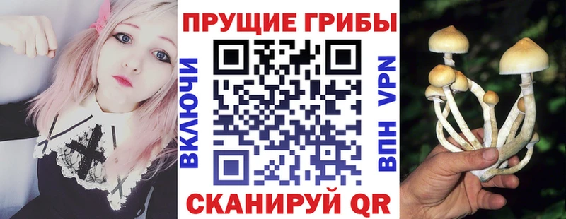 Псилоцибиновые грибы мицелий  kraken зеркало  Белоусово 